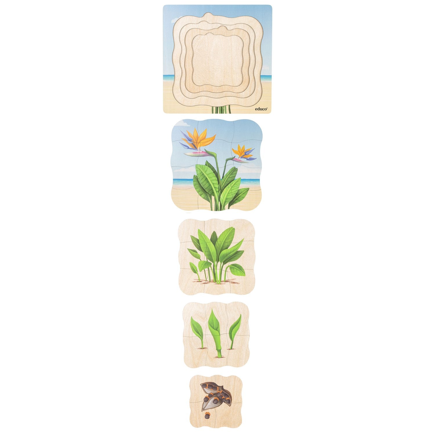 Puzzle évolutif à la plage - oiseau de paradis