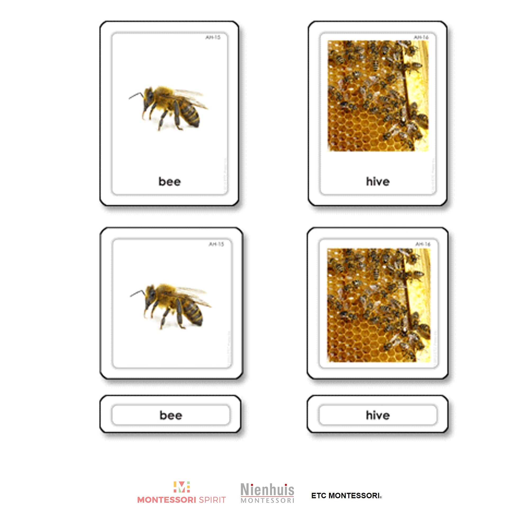 Hogares para animales Tarjetas de 3 partes