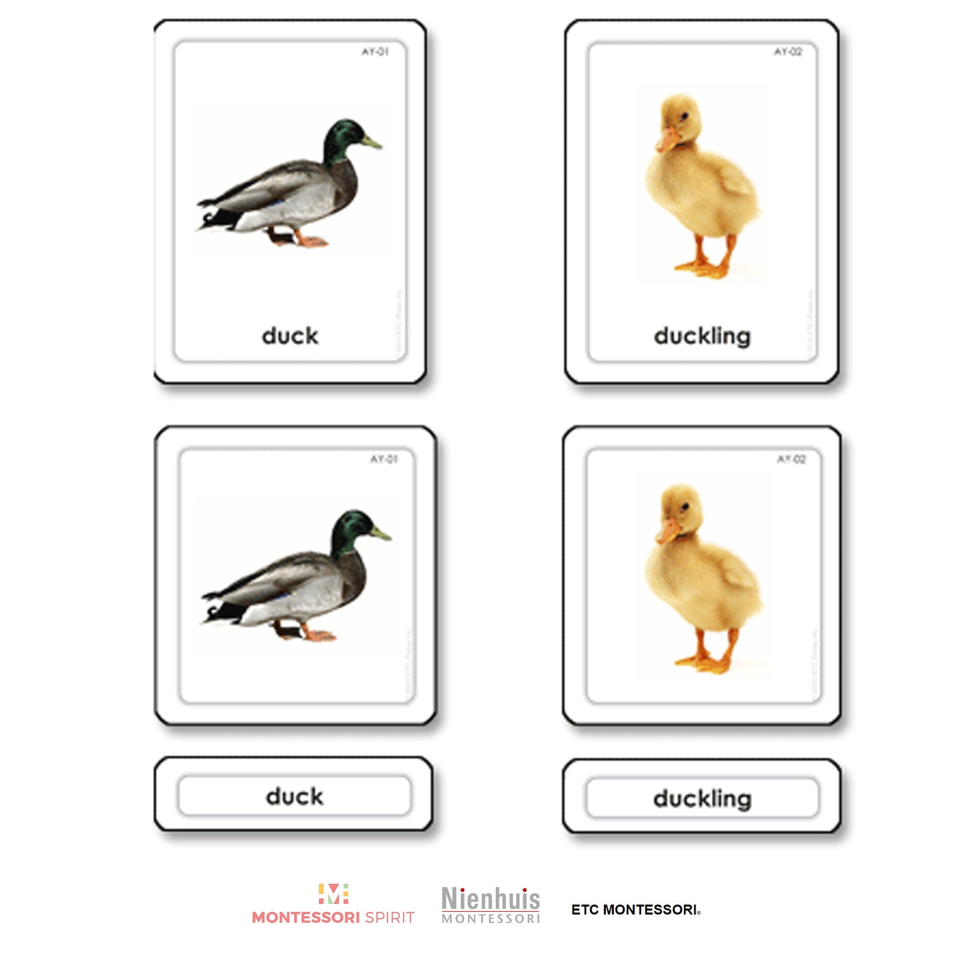 Animal Young Tarjetas de 3 partes