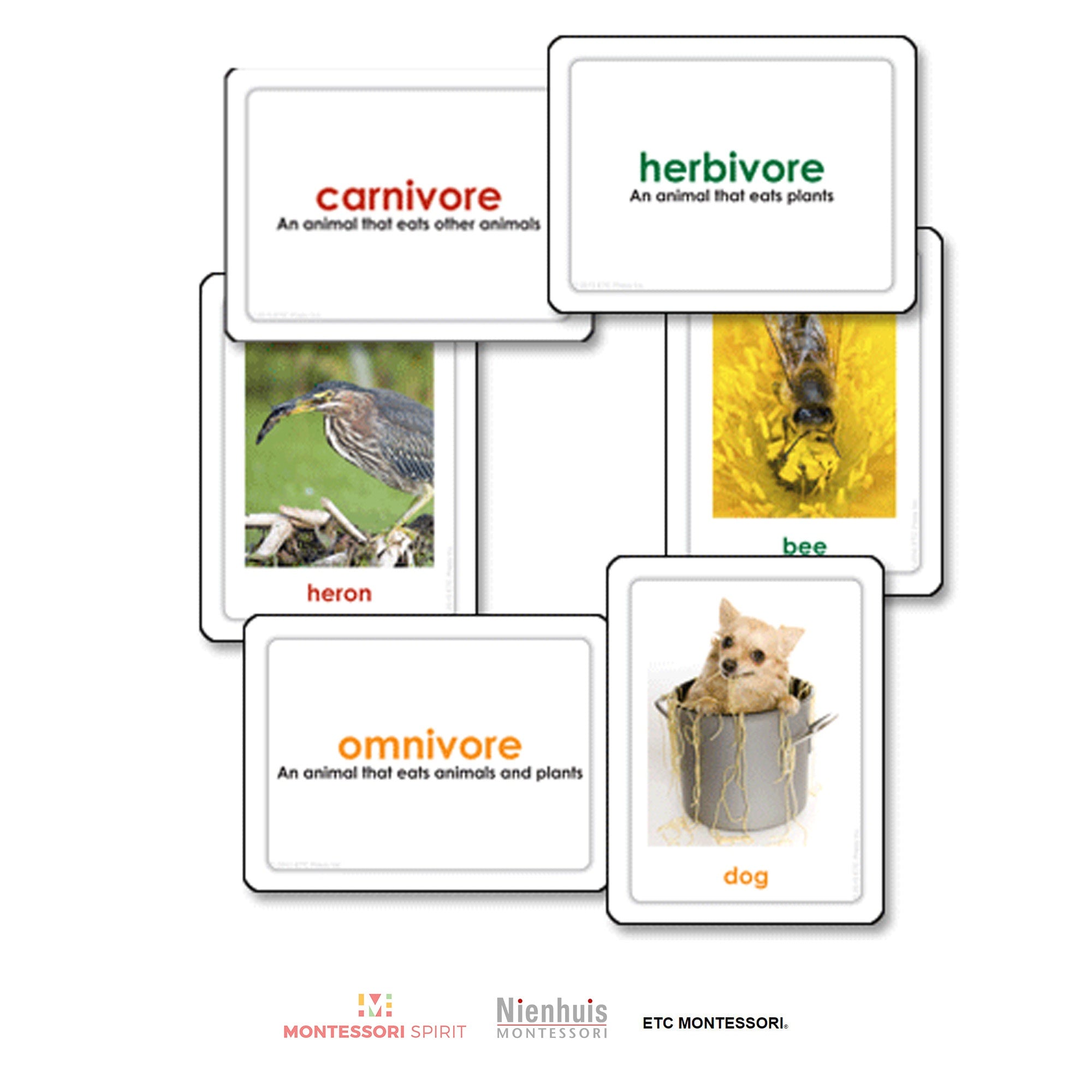Carnívoros, herbívoros y omnívoros