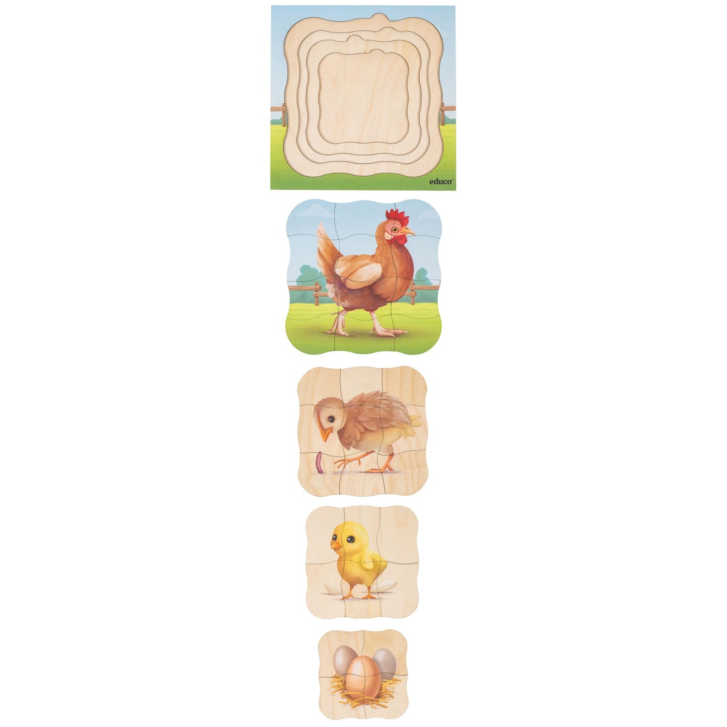 Puzzle évolutif à la ferme - la poule