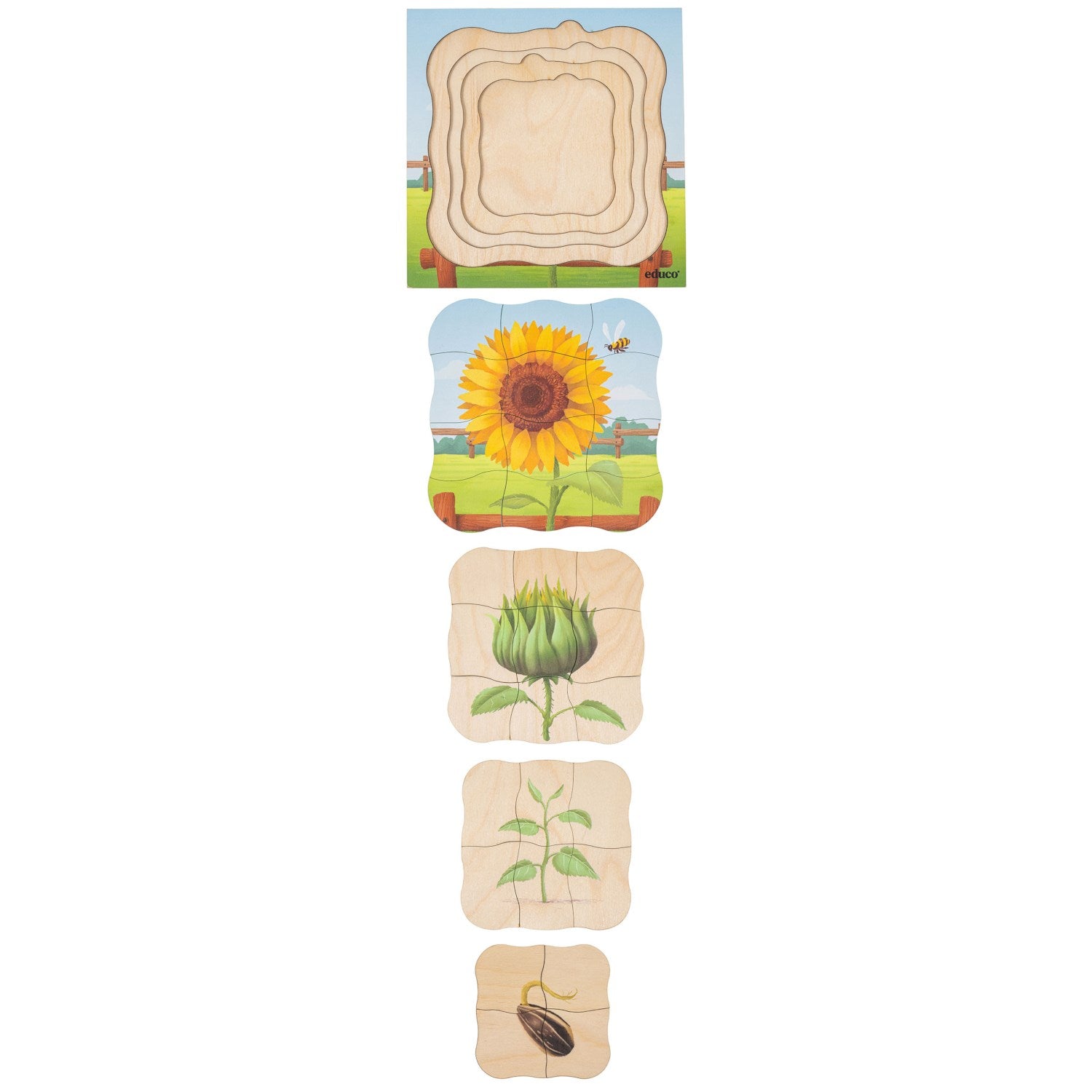 Puzzle évolutif à la ferme - le tournesol