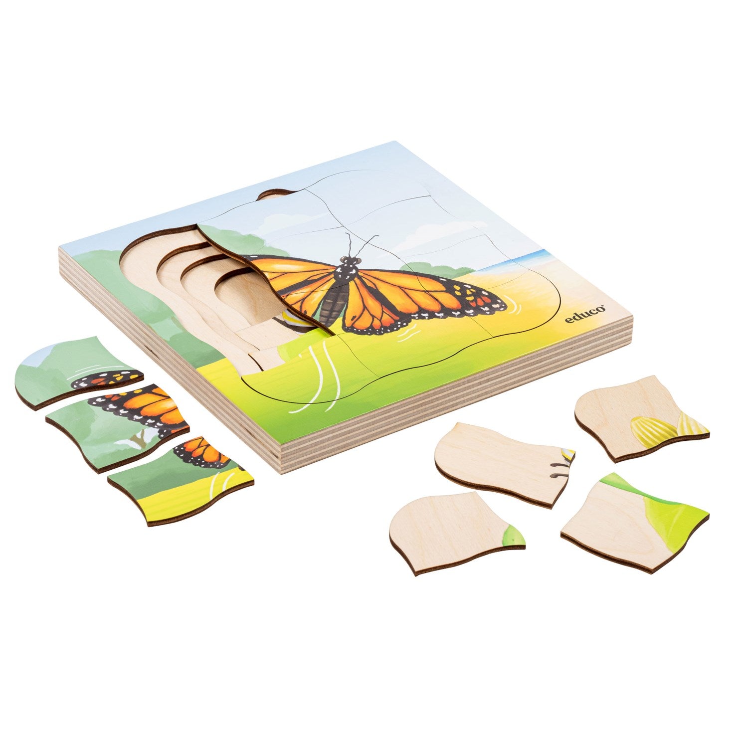 Puzzle évolutif dans la forêt - le papillon