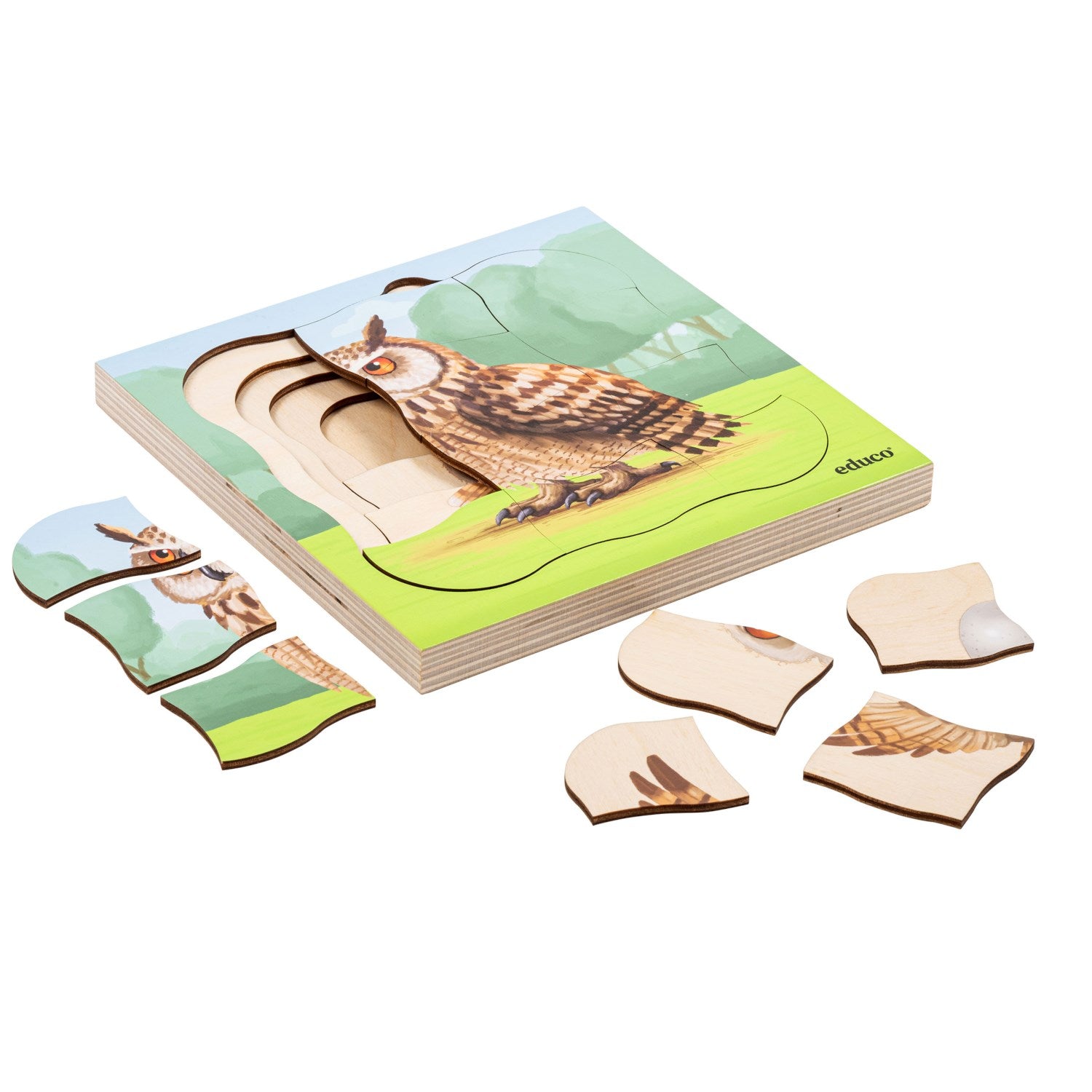 Puzzle évolutif dans la forêt - la chouette