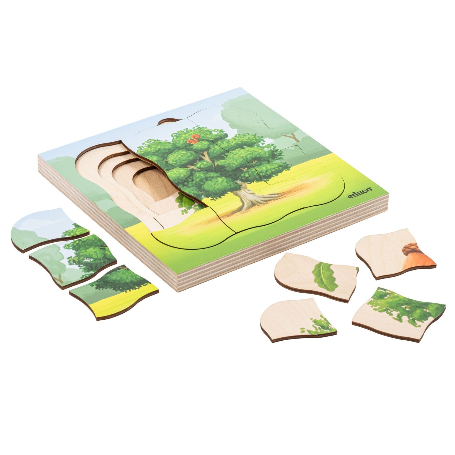 Puzzle évolutif dans la forêt - le chêne