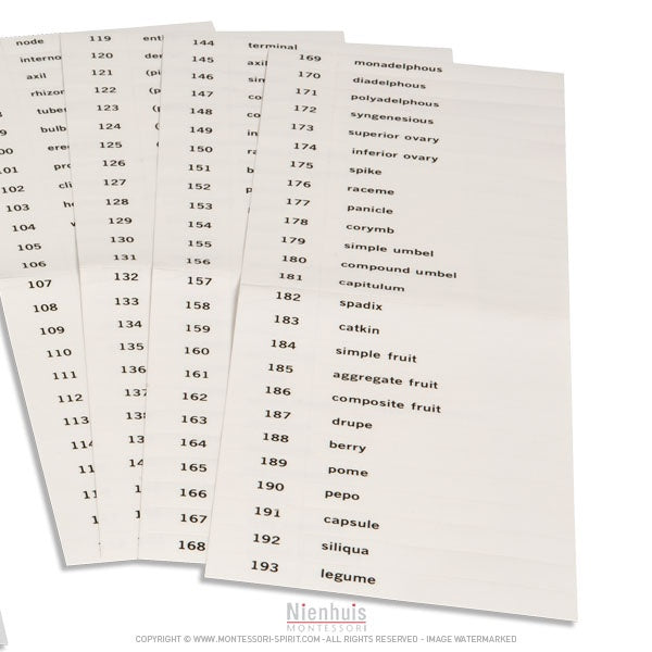 Immagine di Etiquettes-du-troisieme-jeu-de-cartes-de-botanique