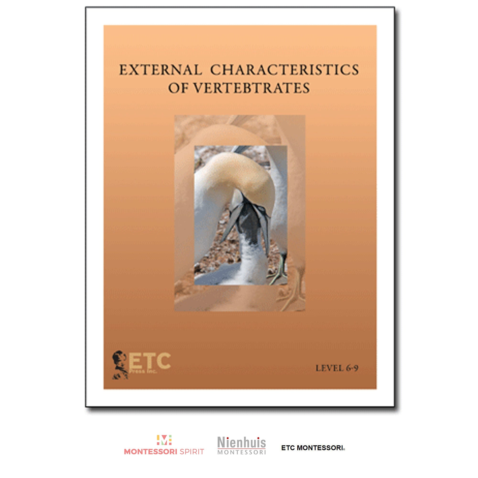 Caratteristiche esterne dei vertebrati