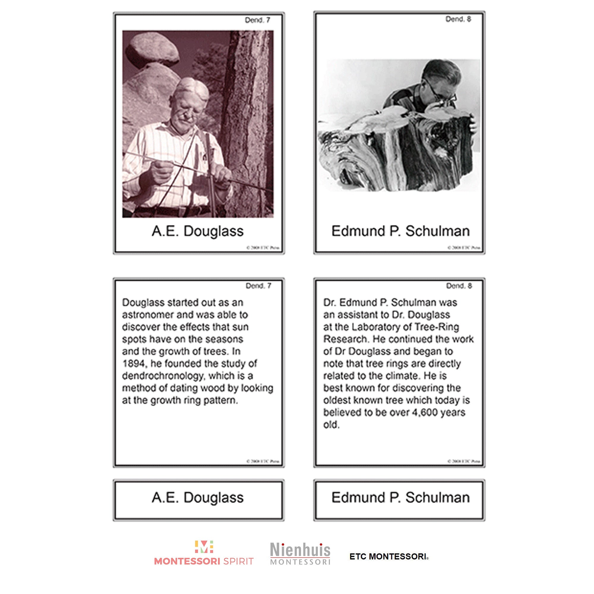 Misurazione Curriculum Livello 9-12