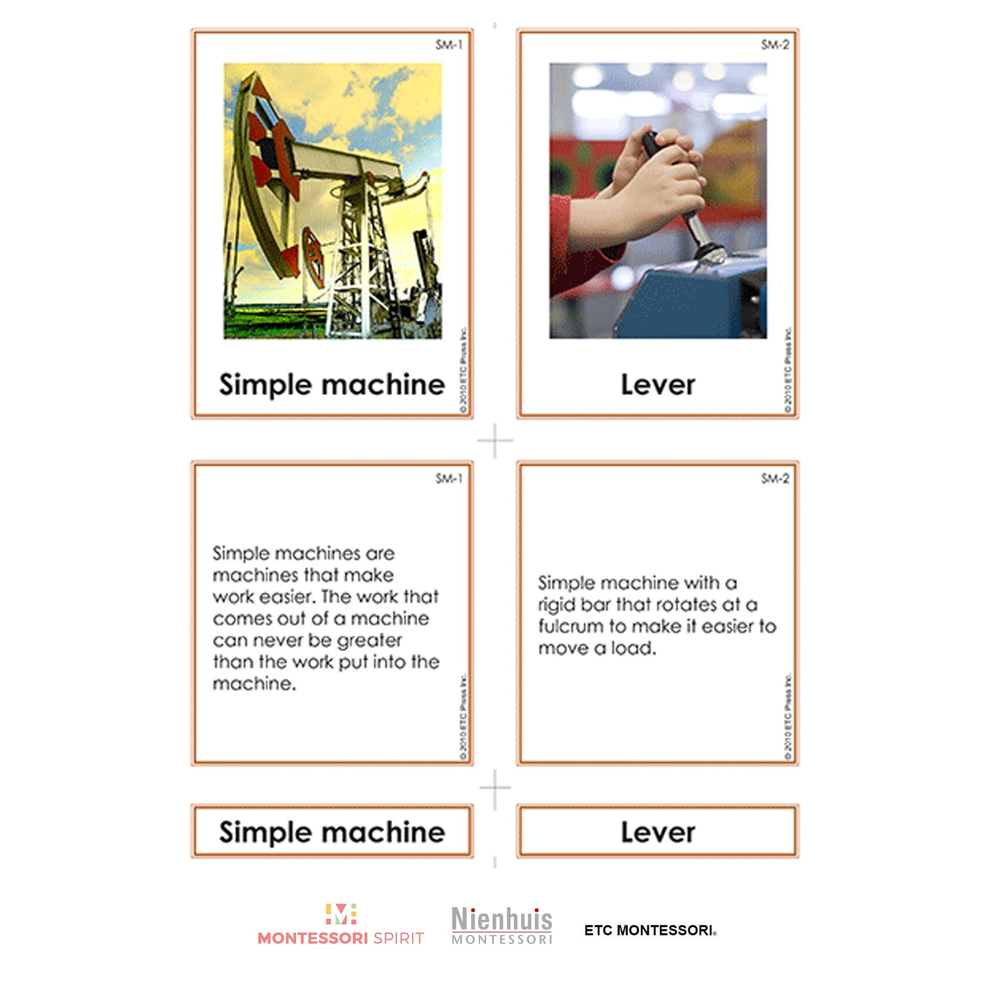 Curriculum di scienze fisiche