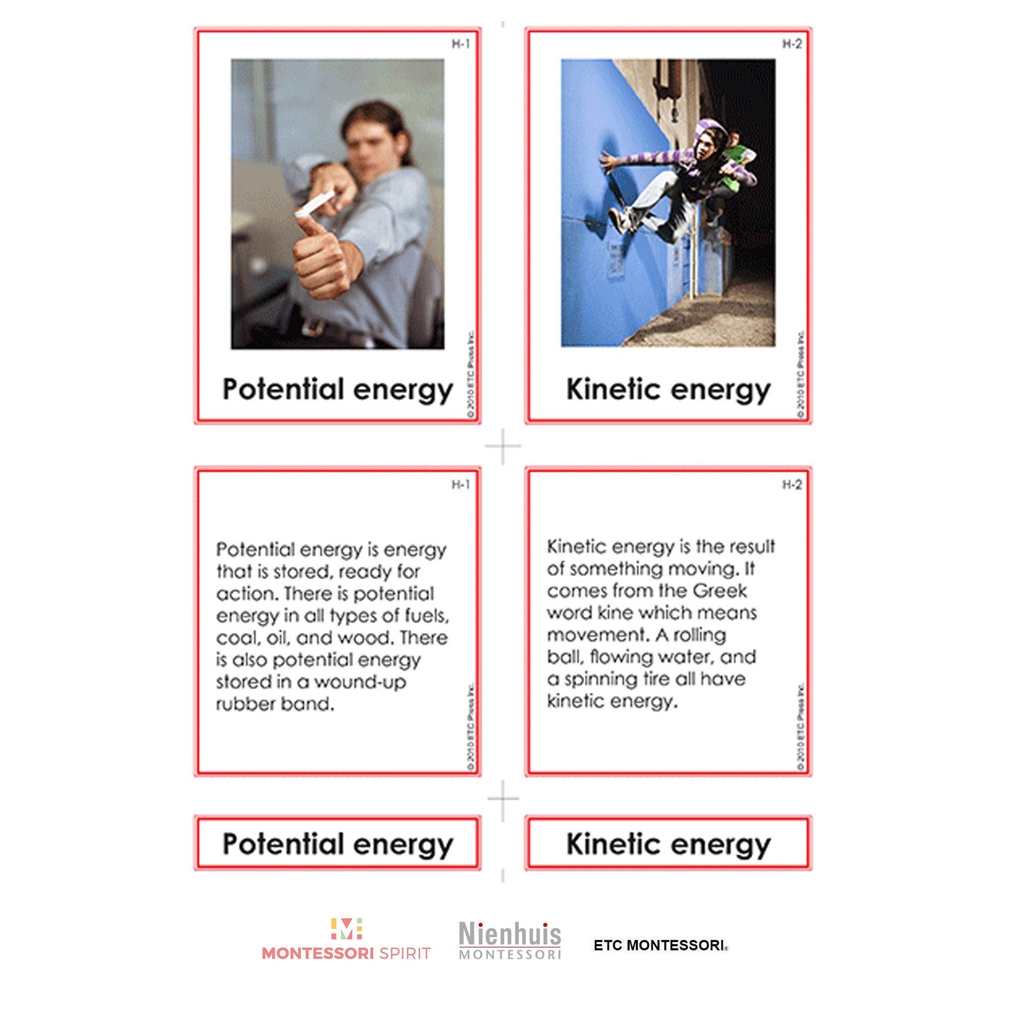 Curriculum di scienze fisiche
